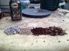 soil.jpg