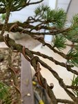 D290D67E-B05C-4643-9EEF-89EC67CE6C67.jpeg