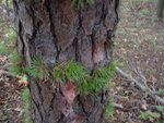 DSC00487.JPG DSC00487.JPG