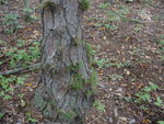 DSC00482.JPG DSC00482.JPG