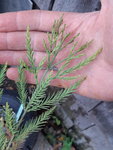 20190924_123827.jpg