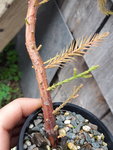 20190924_123931.jpg
