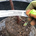 9055F5DF-1304-4384-ABDE-BA1E44EE11B4.jpeg 9055F5DF-1304-4384-ABDE-BA1E44EE11B4.jpeg