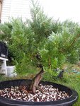 20191006_085452.jpg