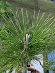 IMG_20191013_170800.jpg