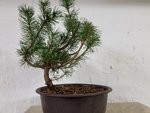 20191021_220553.jpg