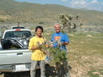 DSCF0241.JPG DSCF0241.JPG