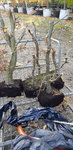 20191031_134423.jpg