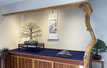 JAPANESE MAPLE SUISEKI.JPG