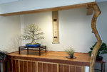 JAPANESE MAPLE DISPLAY.JPG