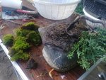 20190827_090916.jpg