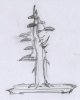hinoki sketch.jpg
