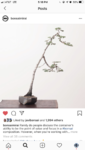70008D7C-FB72-48BA-A8FD-52F77BB004E8.png