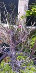 IMG_20191227_073953.jpg
