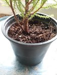 20200102_115334.jpg