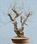 2019-06-TSB_0242w.jpg