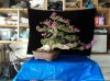 DSC04645.jpg