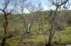 DSC_01010034.JPG