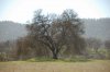 DSC_01340067.JPG