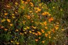 DSC_01400073.jpg