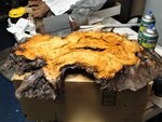 Cherry burl slab-11092019a.jpg