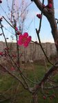 DSC_0218.jpg