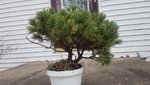 thumbnail_20191117_142222.jpg