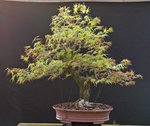DSC02796-1.jpg