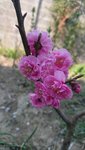 DSC_0044.JPG