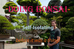 bonsai.jpg