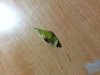 20130413_100422.jpg 20130413_100422.jpg