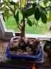 20130420_100622.jpg