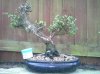 20130424_192021.jpg