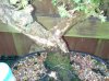 20130424_192031.jpg