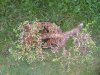 20130424_192109.jpg