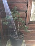 YEW_IMG_7178.jpg