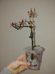 20200328_141121.jpg