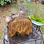 repot jan31 2020.jpg