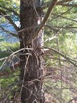 IMG_20200403_185009.jpg