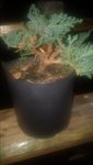 20170309_200013.jpg