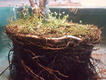 20200403_213508.jpg 20200403_213508.jpg