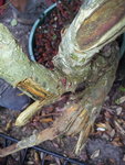 19700105_142154.jpg