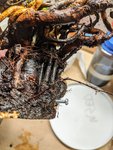 IMG_20200411_180026.jpg