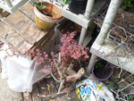 19700109_112626.jpg