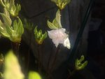 IMG_20200419_160125848.jpg