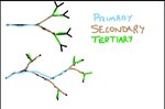 Inkedbranching_LI.jpg
