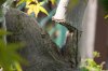 20111027-DSC_0189-XL.jpg