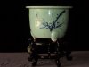 DSC05159.jpg