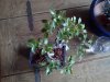 20130527_191536.jpg