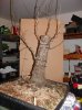 2011-12-26.jpg 2011-12-26.jpg